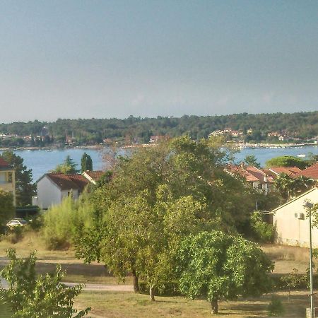 Delfin Leilighet Novigrad Istria Eksteriør bilde