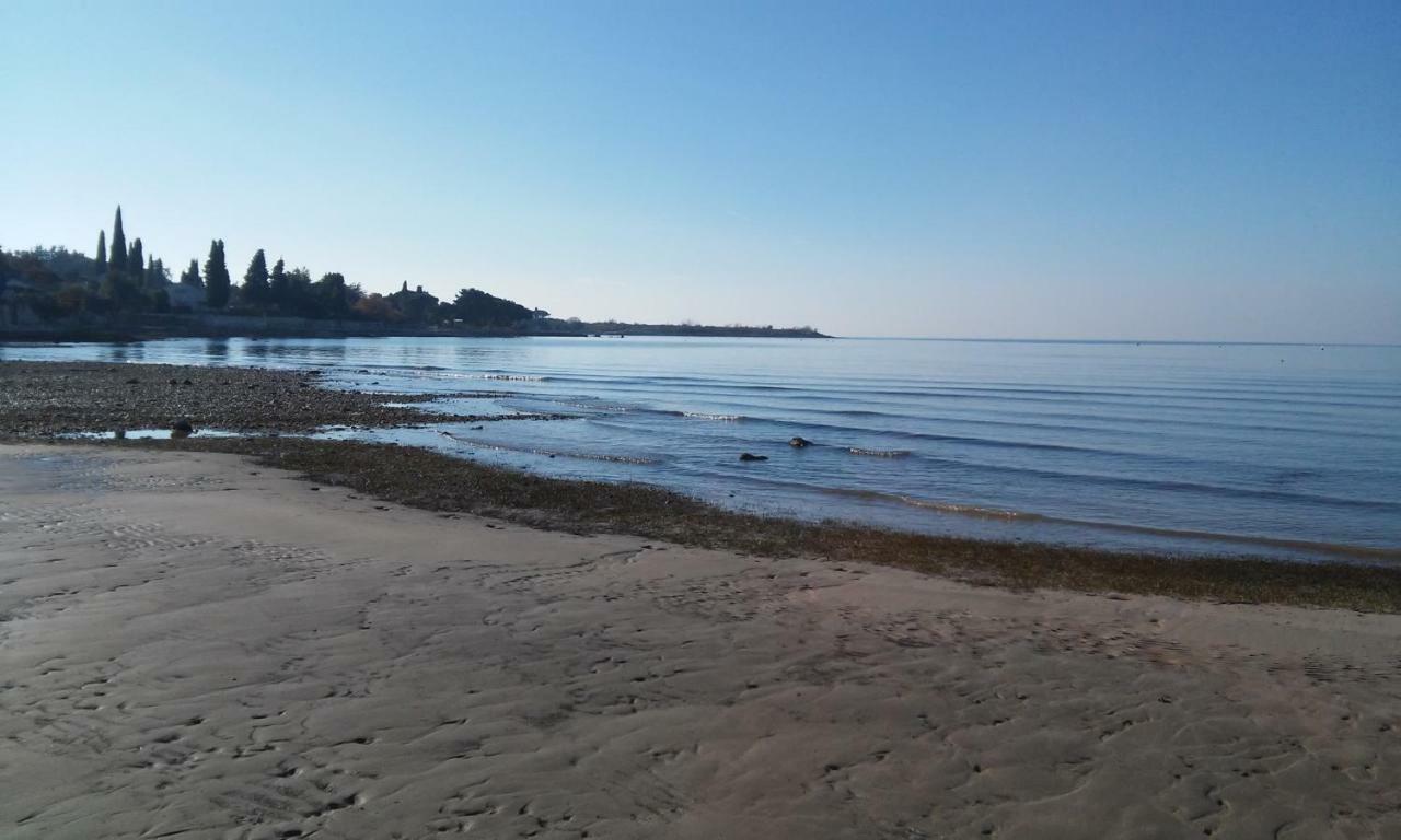 Delfin Leilighet Novigrad Istria Eksteriør bilde