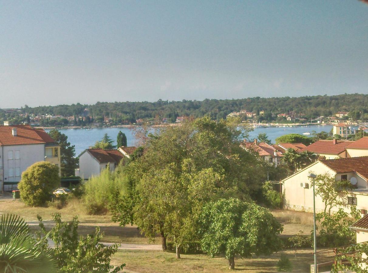 Delfin Leilighet Novigrad Istria Eksteriør bilde